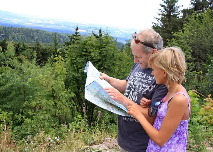 Ferienwohnung-stricker-b-balkon-1-2 Apartamento Walkenried